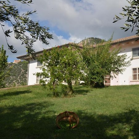 B&B Macchia D'Olmo Capaccio Extérieur photo