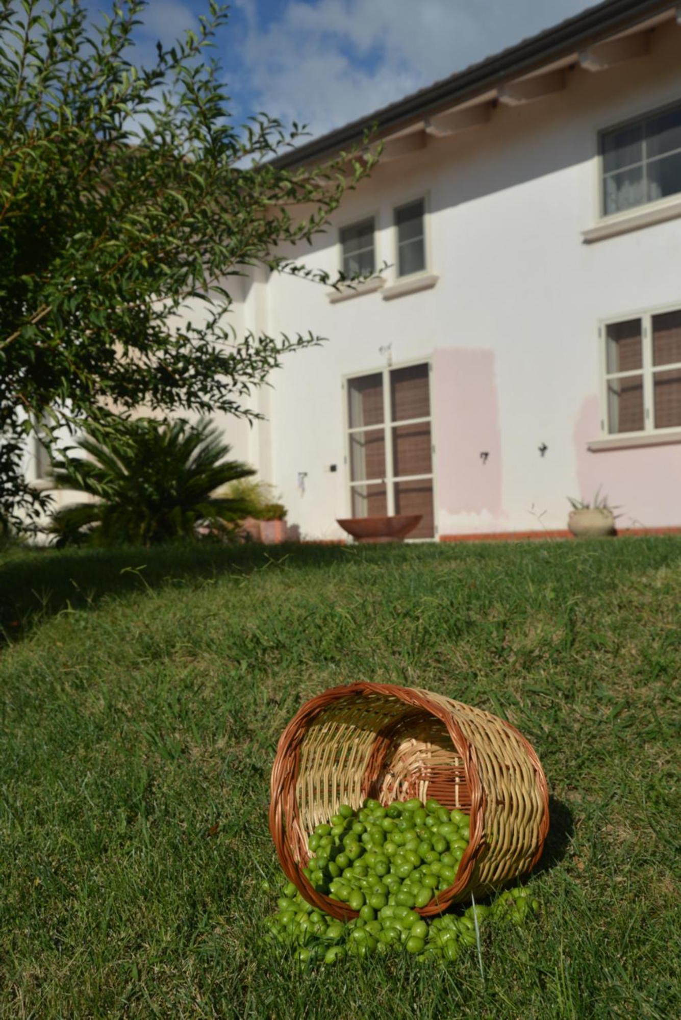 B&B Macchia D'Olmo Capaccio Extérieur photo