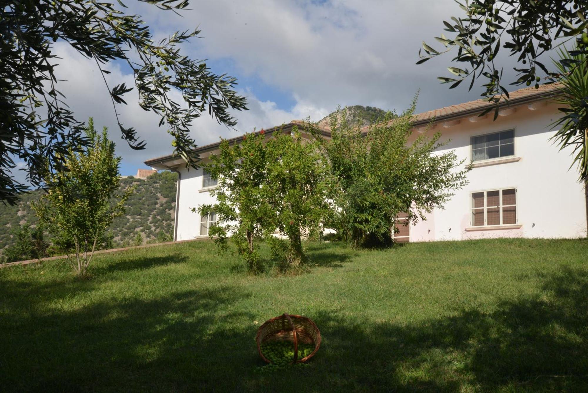 B&B Macchia D'Olmo Capaccio Extérieur photo