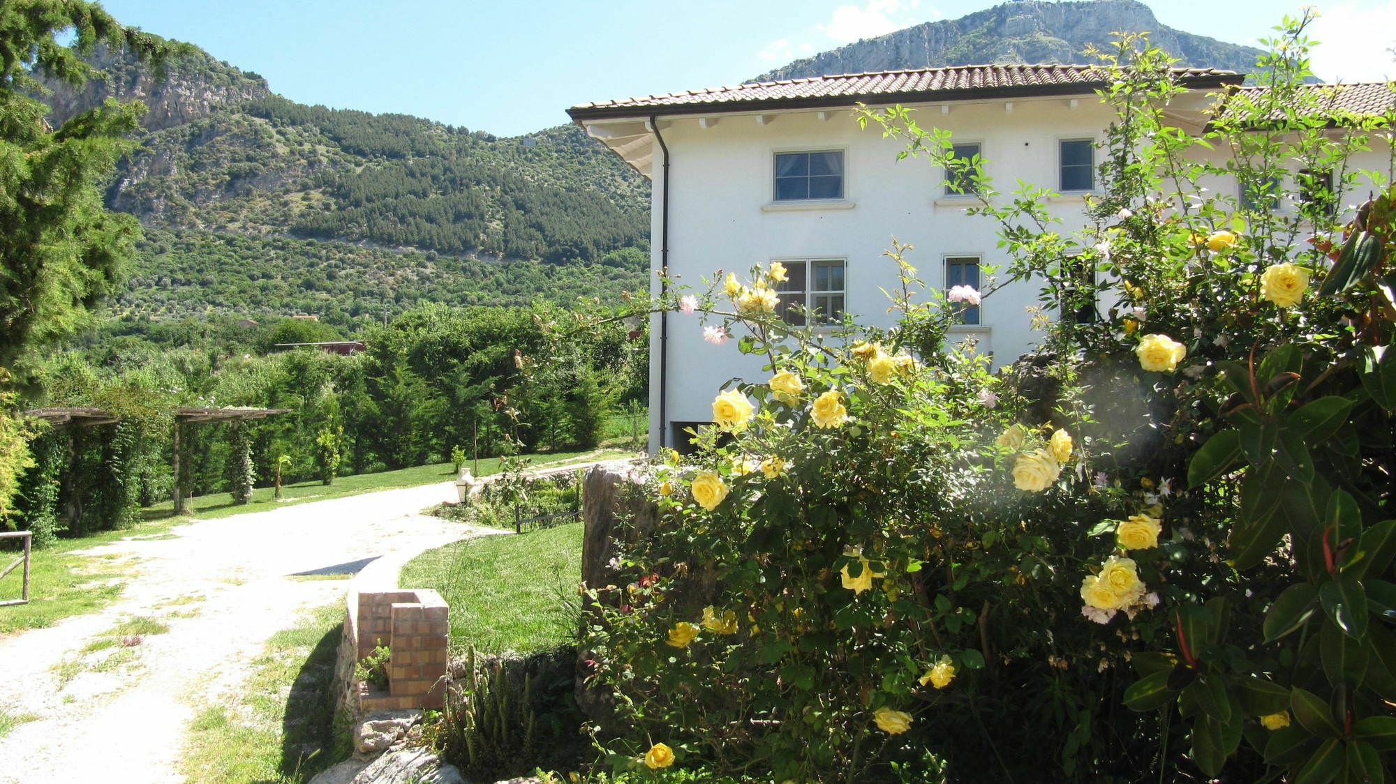 B&B Macchia D'Olmo Capaccio Extérieur photo