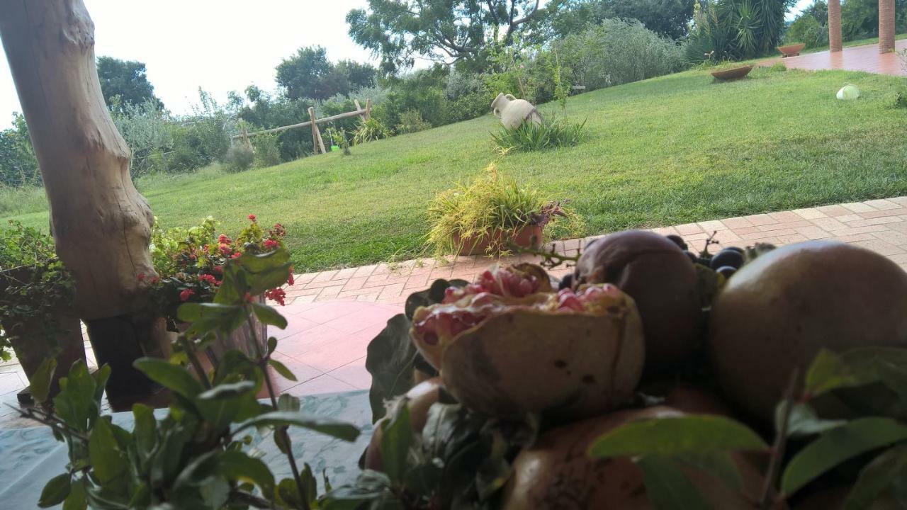 B&B Macchia D'Olmo Capaccio Extérieur photo