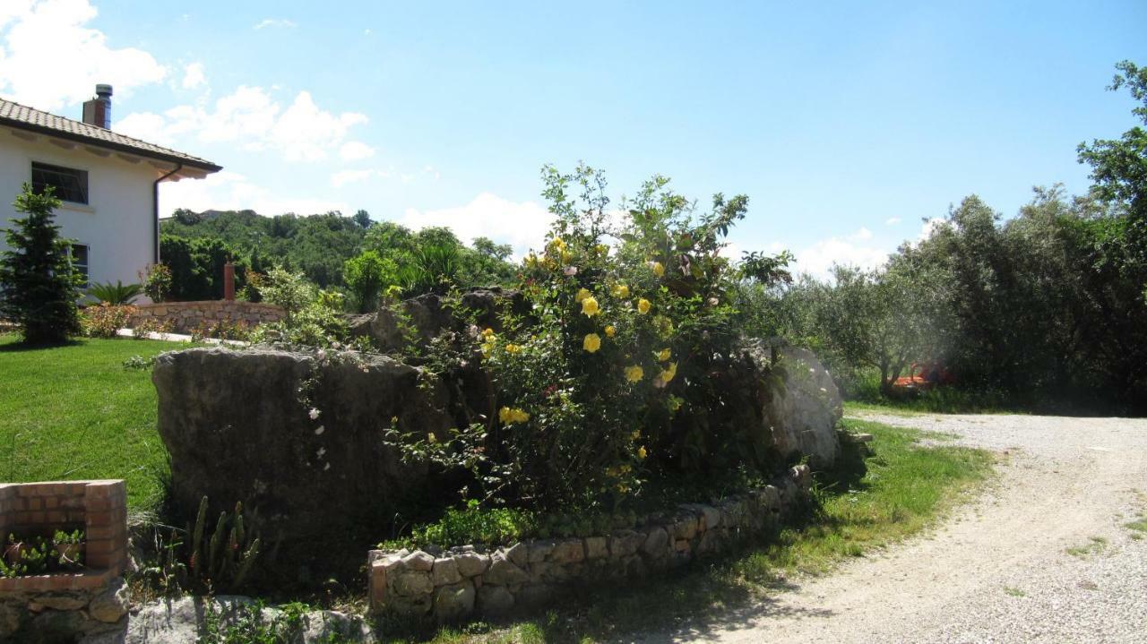 B&B Macchia D'Olmo Capaccio Extérieur photo