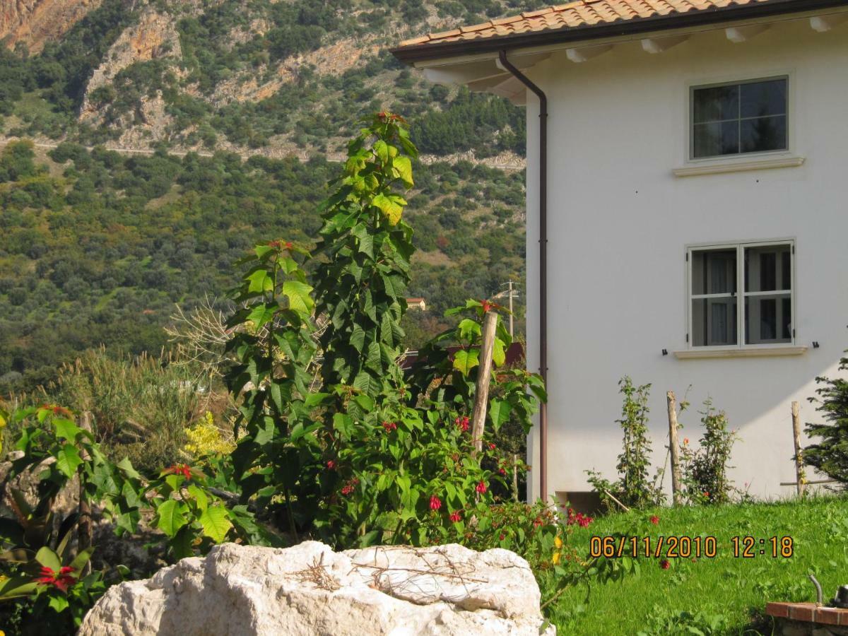 B&B Macchia D'Olmo Capaccio Extérieur photo