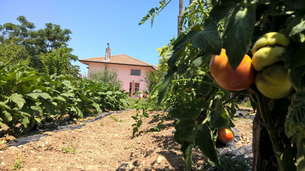 B&B Macchia D'Olmo Capaccio Extérieur photo
