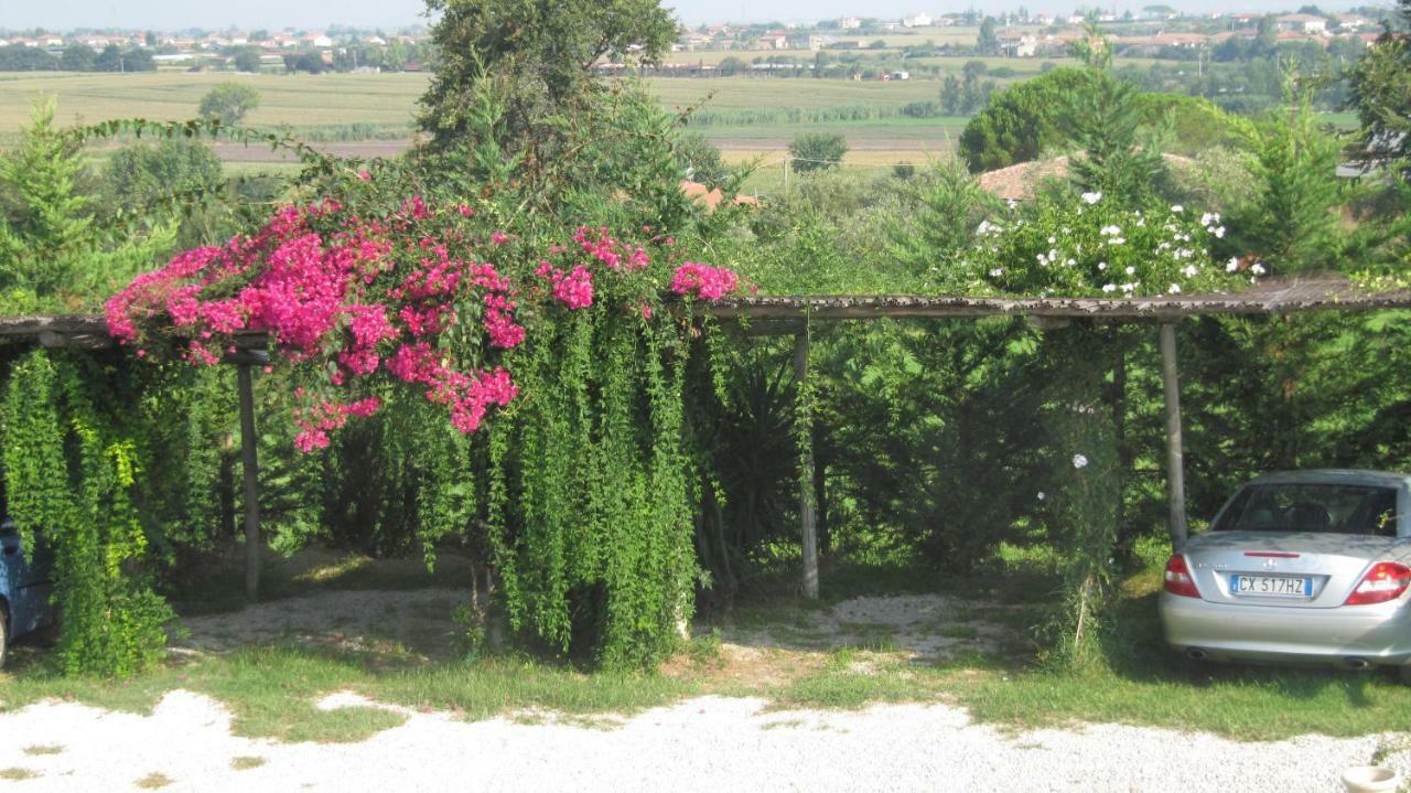 B&B Macchia D'Olmo Capaccio Extérieur photo