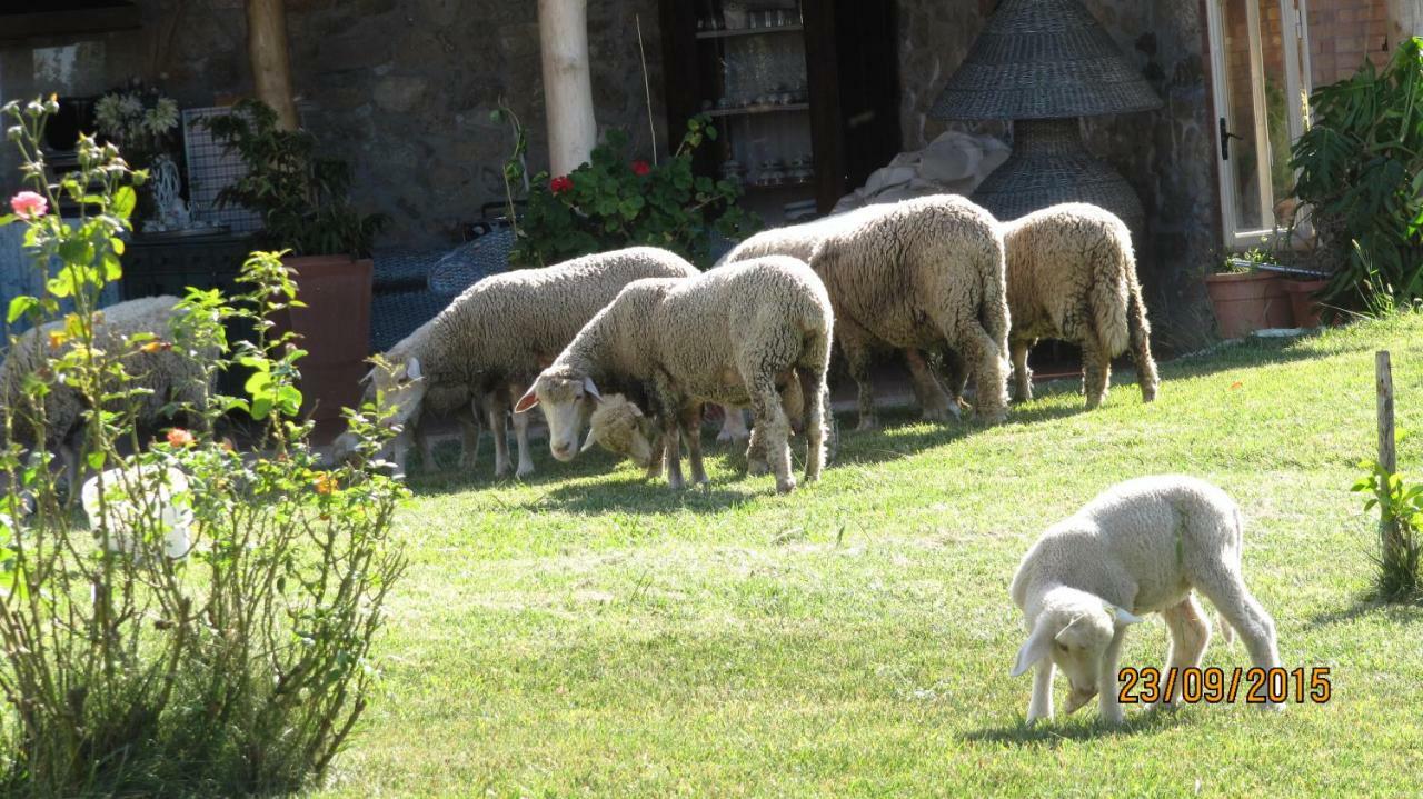 B&B Macchia D'Olmo Capaccio Extérieur photo