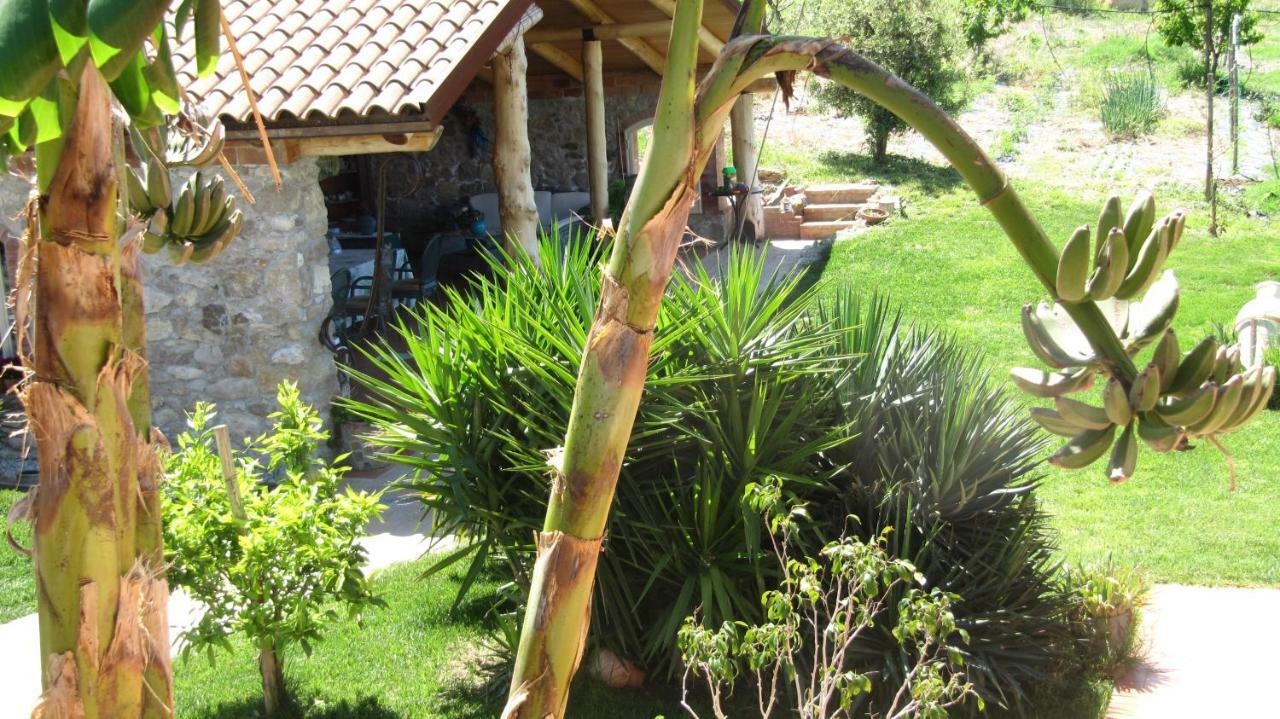 B&B Macchia D'Olmo Capaccio Extérieur photo