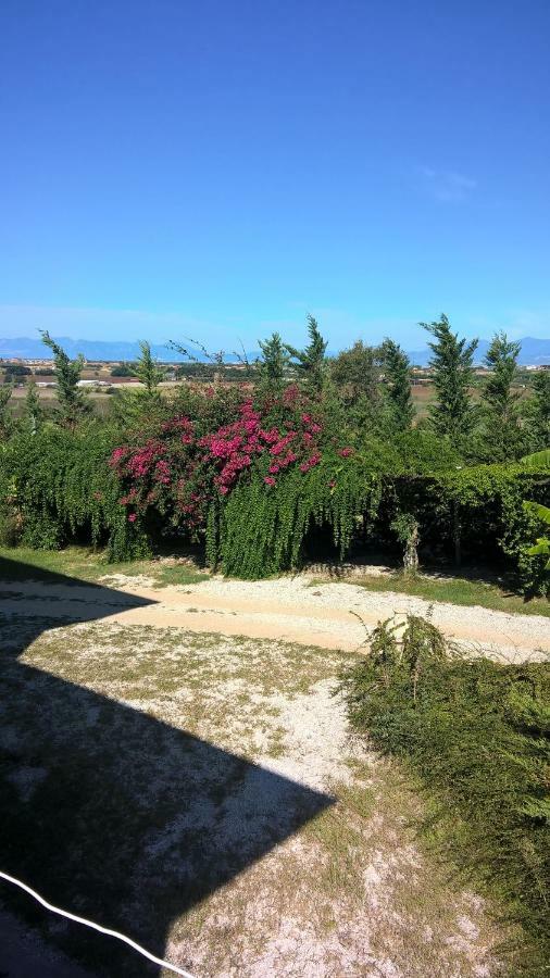 B&B Macchia D'Olmo Capaccio Extérieur photo